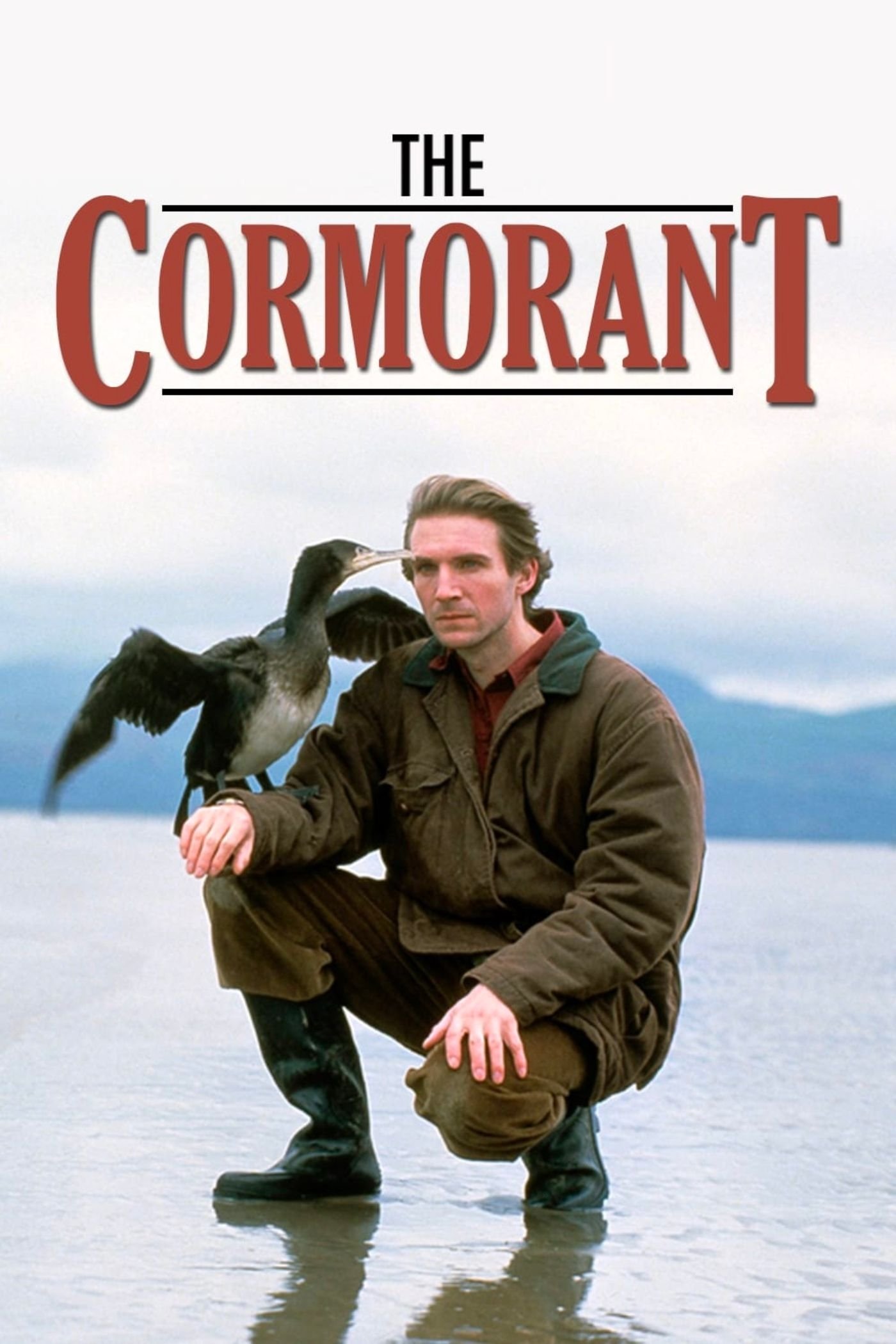 Постер The Cormorant